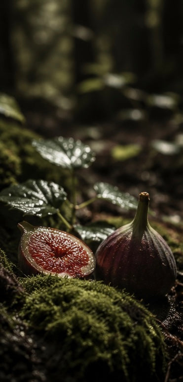 FIG & SANDALWOOD